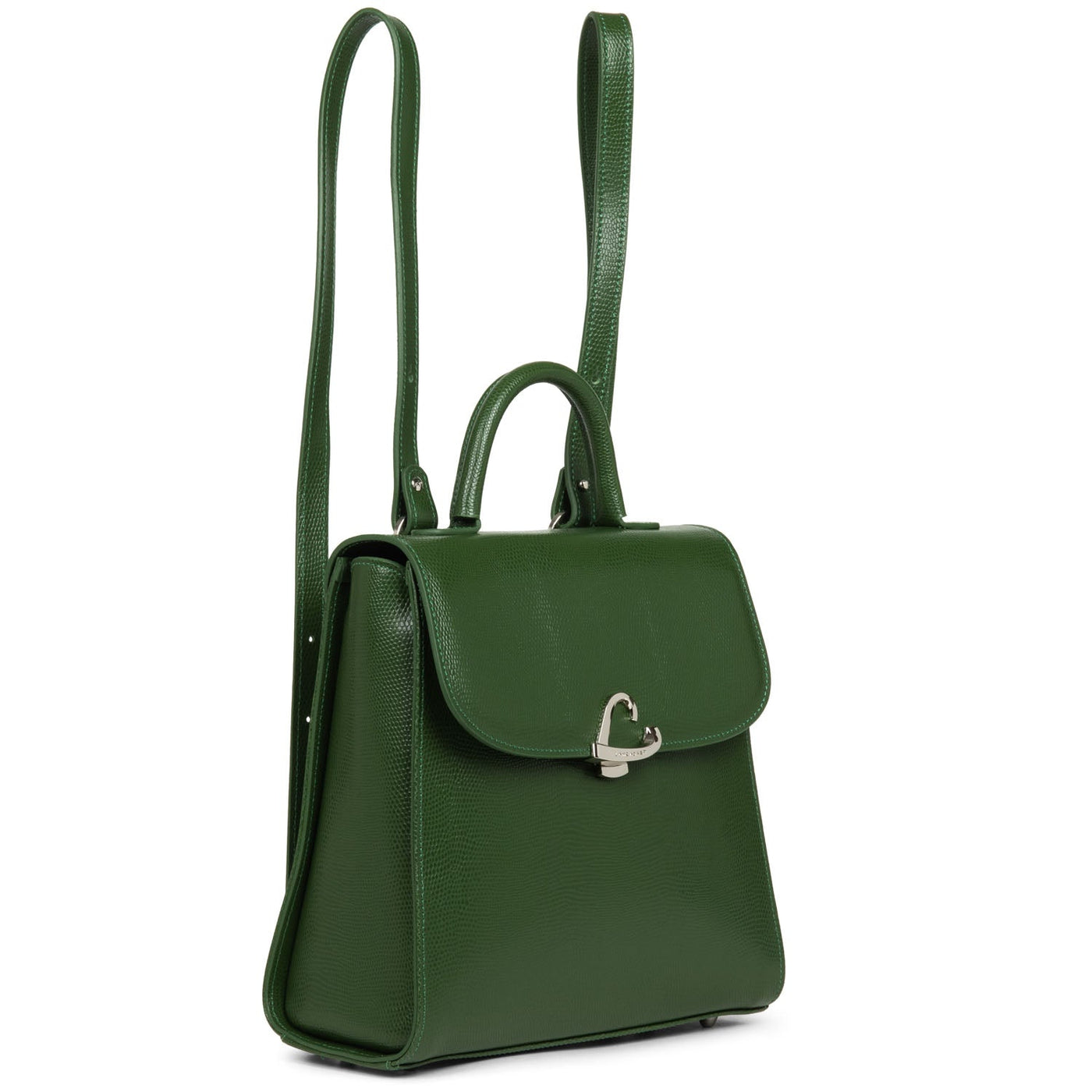 backpack - lucertola #couleur_vert-pin